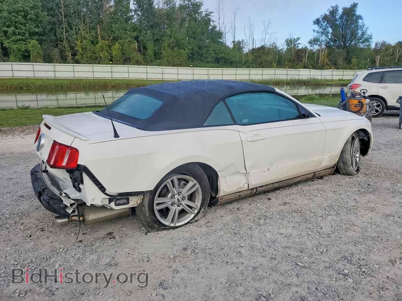2012 FORD MUSTANG - VIN: 1ZVBP8EM8C5203544 - Фото 3