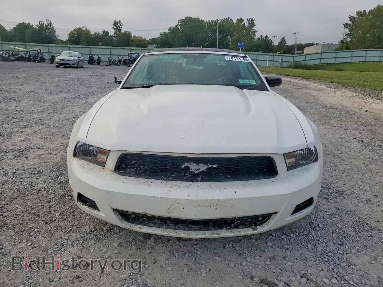 2012 FORD MUSTANG - VIN: 1ZVBP8EM8C5203544 - Фото 5