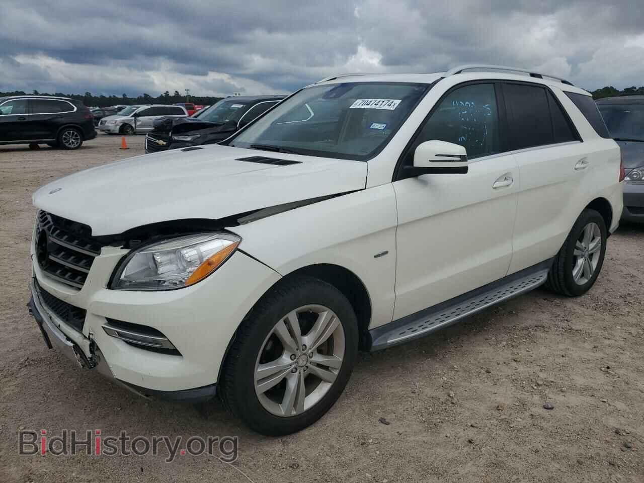 Photo 4JGDA5HB7CA010343 - MERCEDES-BENZ M-CLASS 2012