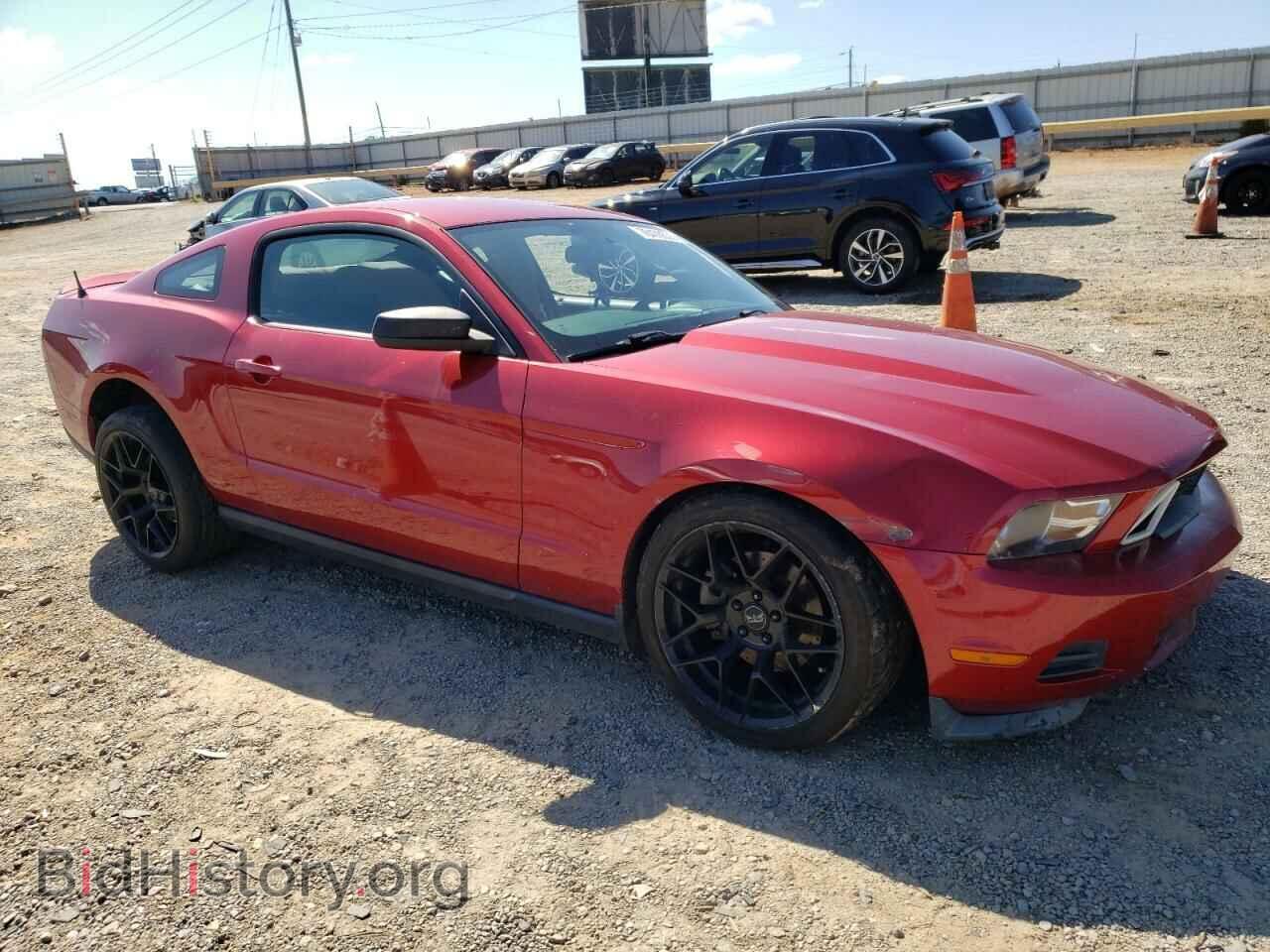 2011 FORD ALL Models - VIN: 1ZVBP8AMXB5167781 - Фото 4