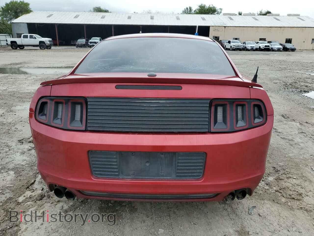 2013 FORD ALL Models - VIN: 1ZVBP8AM7D5204319 - Фото 6