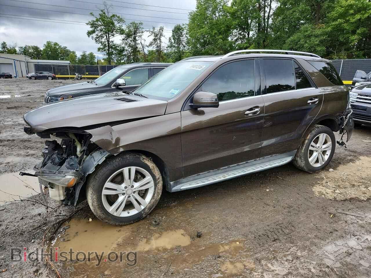 Photo 4JGDA5HB5EA320266 - MERCEDES-BENZ M-CLASS 2014