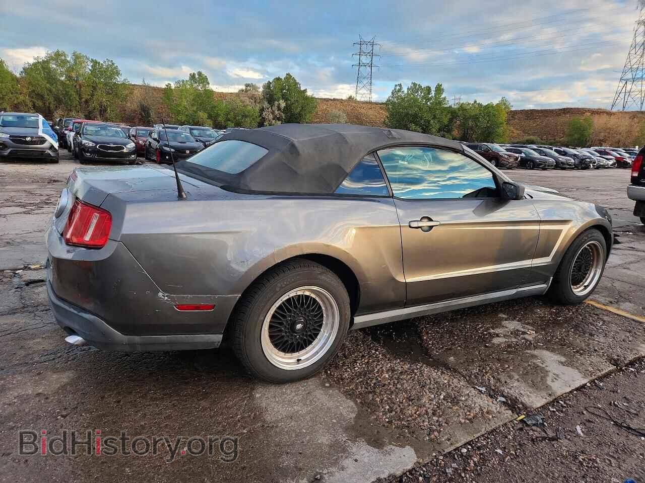 2010 FORD MUSTANG - VIN: 1ZVBP8EN4A5124801 - Фото 3