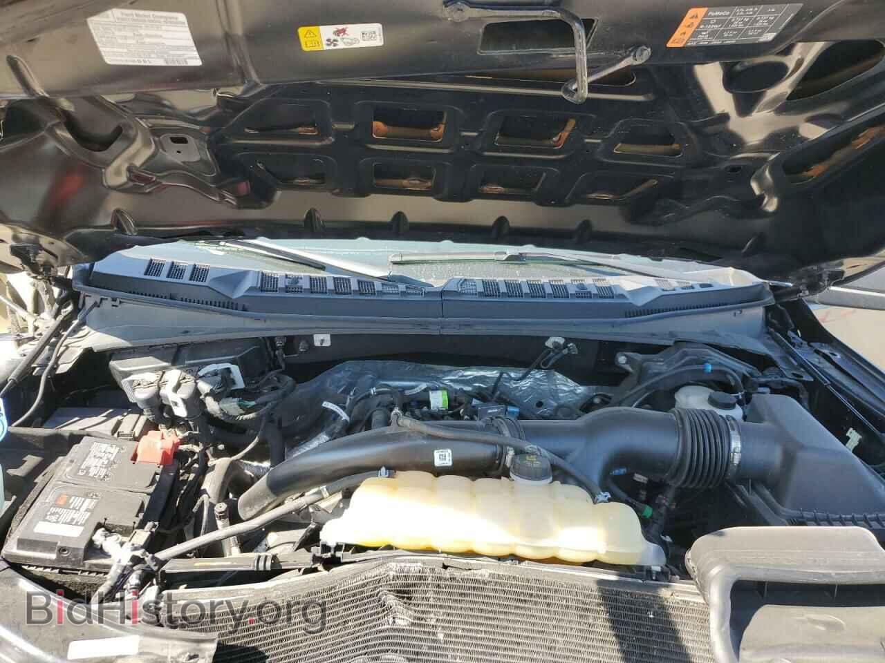 2019 FORD All Models - VIN: 1FTMF1EP4KKE45280 - Фото 11
