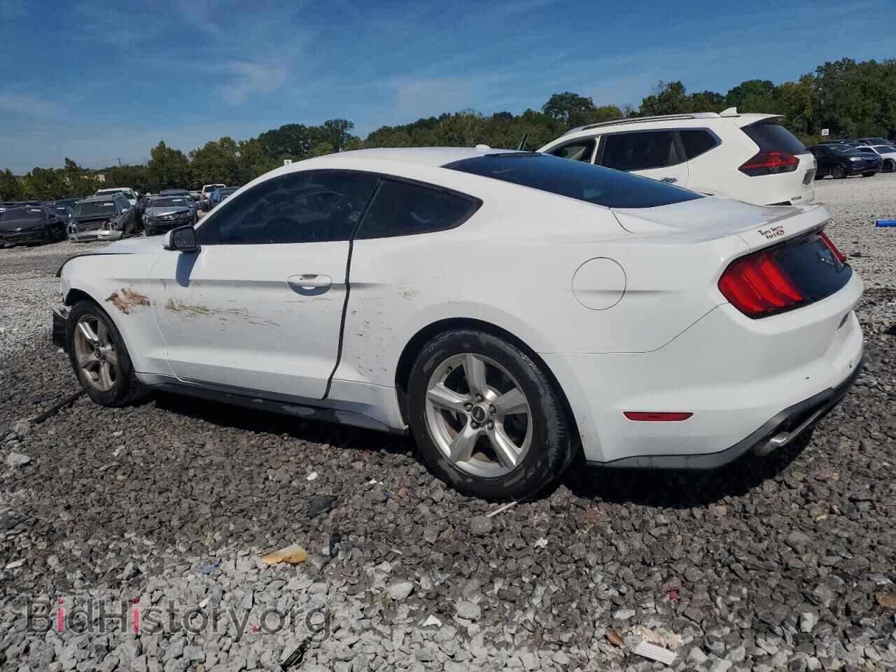 2019 FORD ALL Models - VIN: 1FA6P8TH5K5141633 - Фото 2