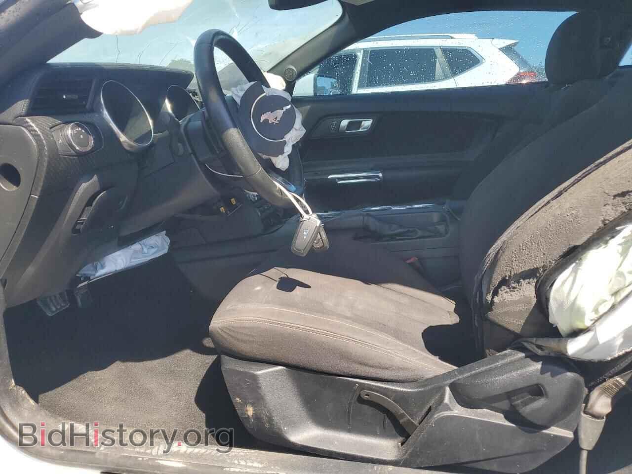 2019 FORD ALL Models - VIN: 1FA6P8TH5K5141633 - Фото 7