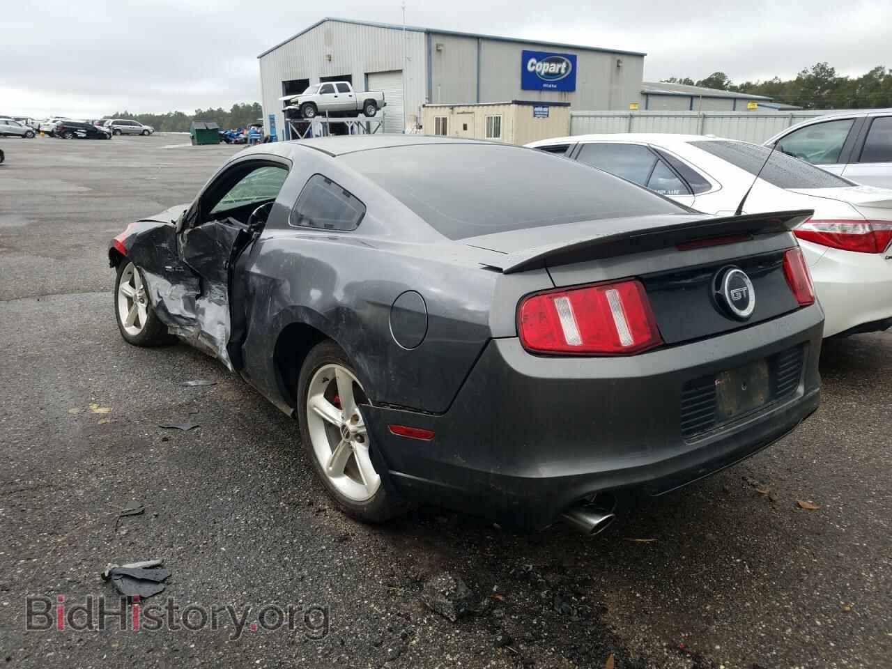 2014 FORD MUSTANG - VIN: 1ZVBP8CF4E5298269 - Фото 3