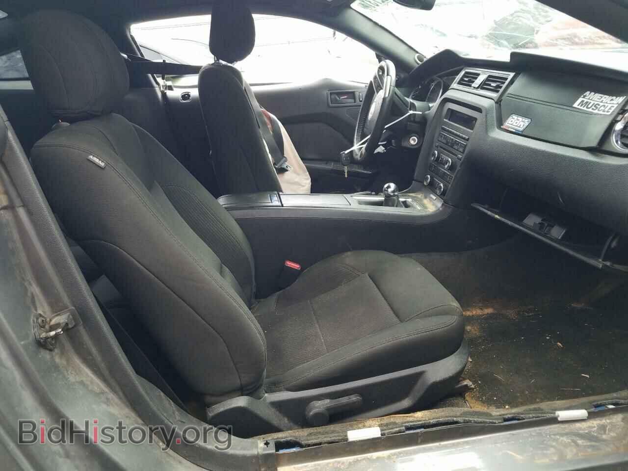 2014 FORD MUSTANG - VIN: 1ZVBP8CF4E5298269 - Фото 5