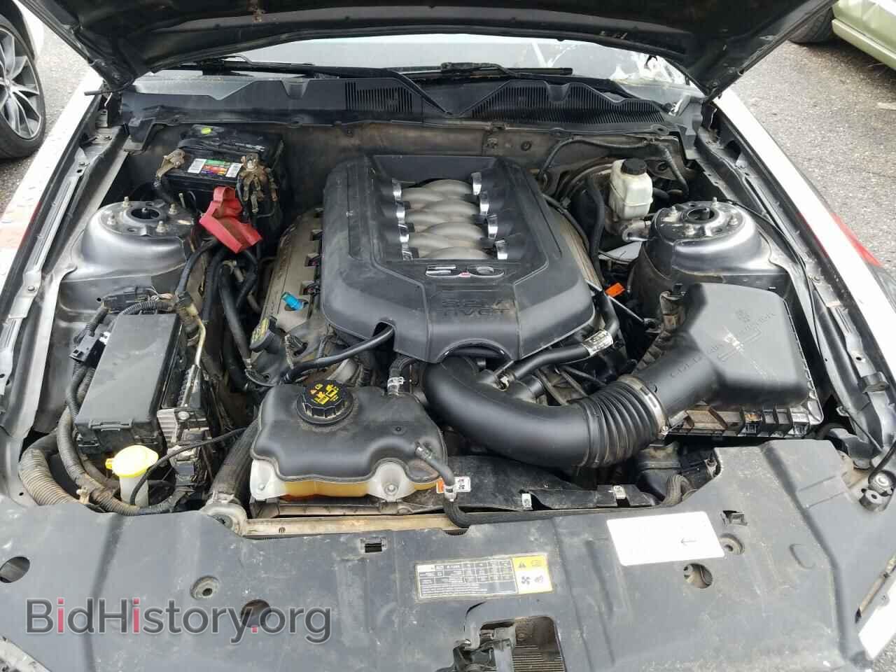 2014 FORD MUSTANG - VIN: 1ZVBP8CF4E5298269 - Фото 7
