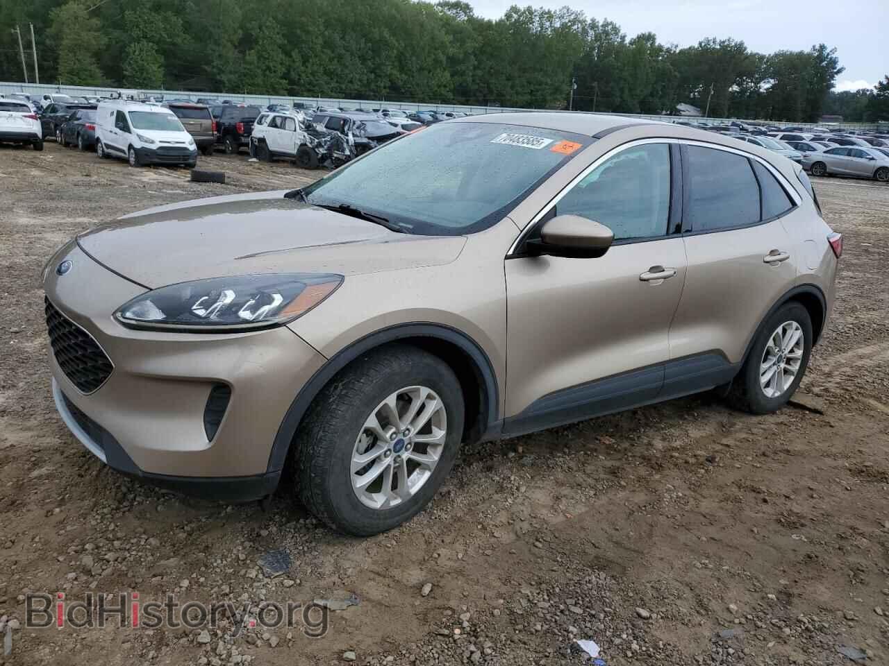 Photo 1FMCU0G68LUA83004 - FORD ESCAPE 2020