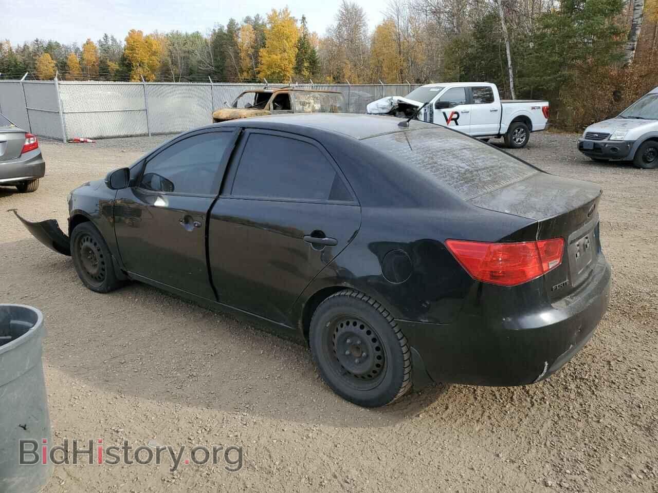 2011 KIA FORTE - VIN: KNAFU4A25B5465592 - Фото 2