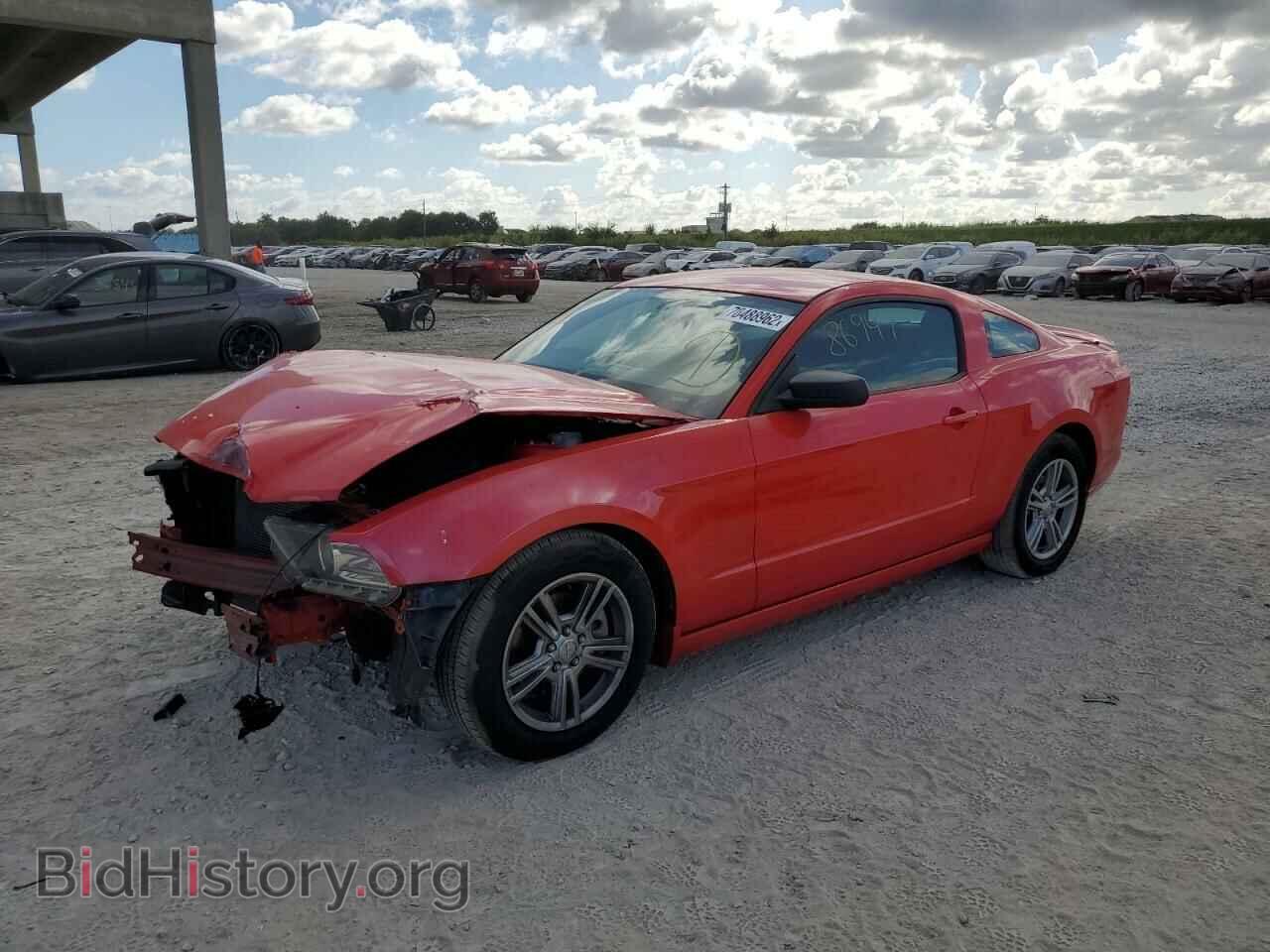 Фотография 1ZVBP8AM8D5205561 - FORD MUSTANG 2013