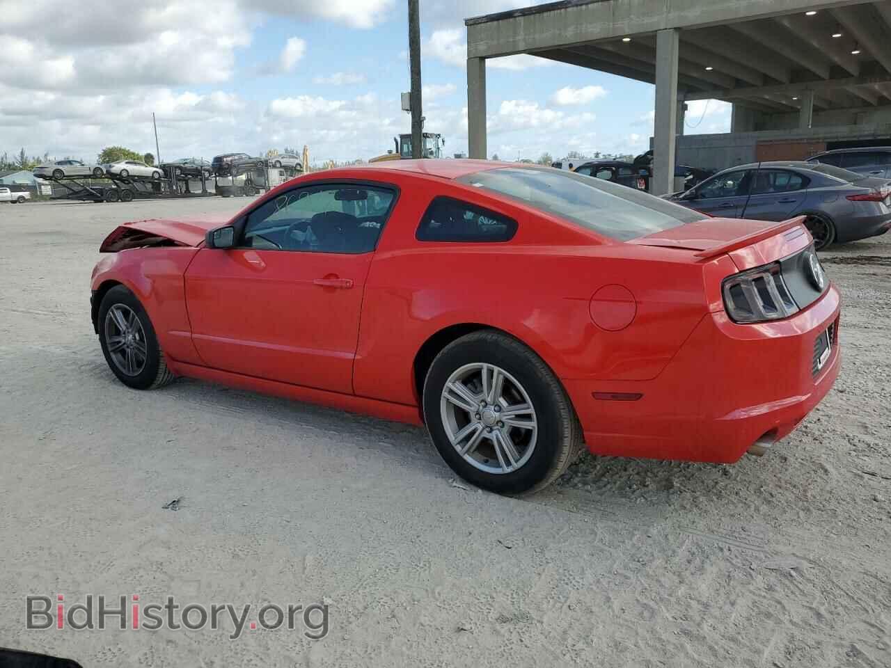 2013 FORD MUSTANG - VIN: 1ZVBP8AM8D5205561 - Фото 2