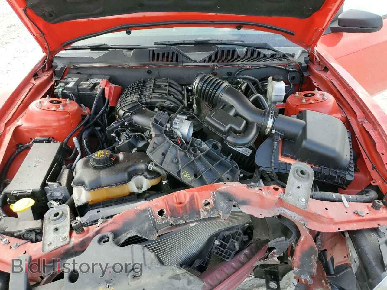 2013 FORD MUSTANG - VIN: 1ZVBP8AM8D5205561 - Фото 11