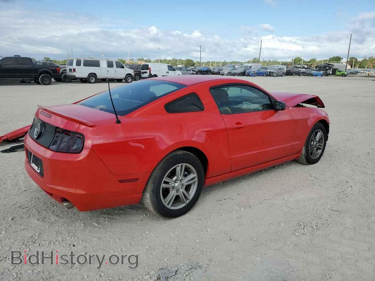 2013 FORD MUSTANG - VIN: 1ZVBP8AM8D5205561 - Фото 3