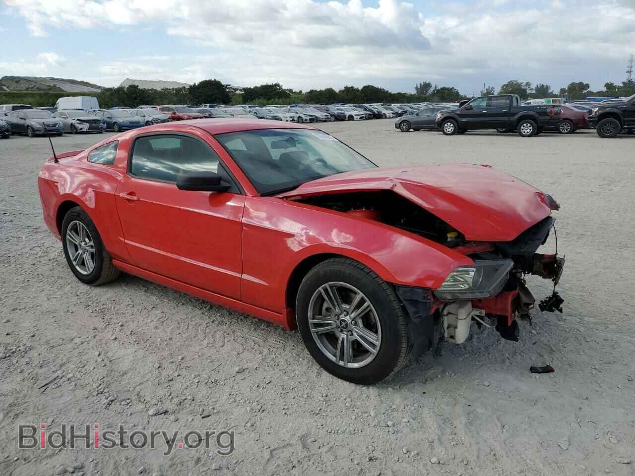 2013 FORD MUSTANG - VIN: 1ZVBP8AM8D5205561 - Фото 4