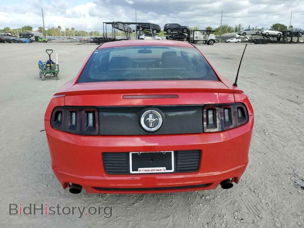 2013 FORD MUSTANG - VIN: 1ZVBP8AM8D5205561 - Фото 6