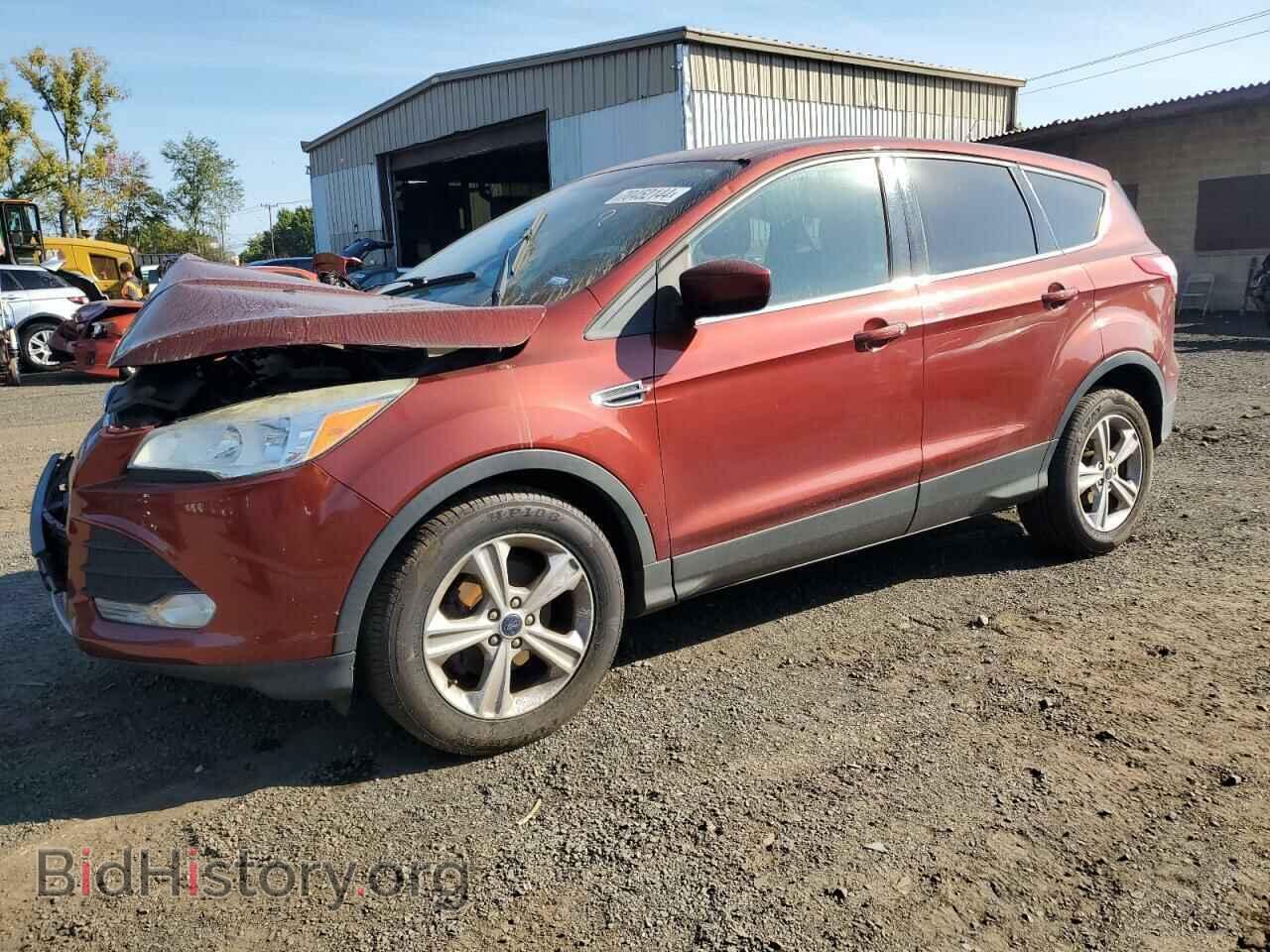 Фотография 1FMCU0GX5EUC09069 - FORD ESCAPE 2014