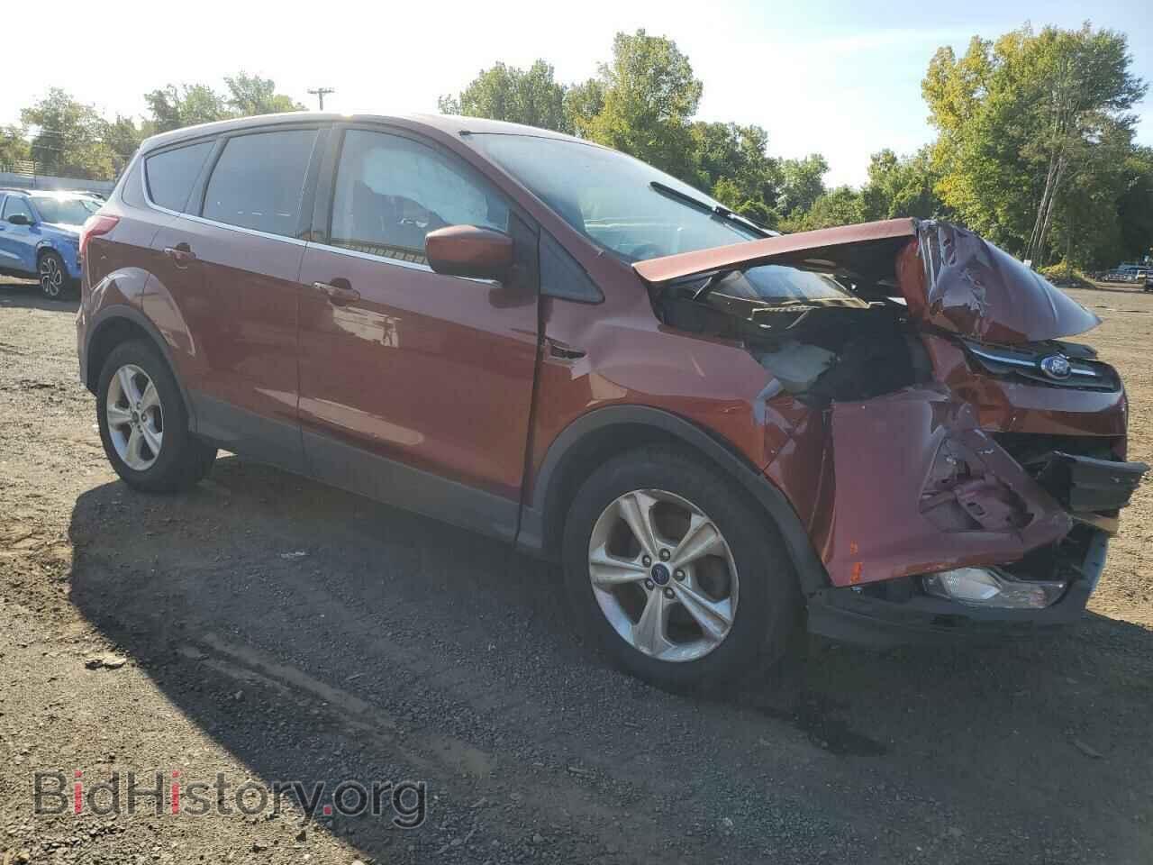 2014 FORD ESCAPE - VIN: 1FMCU0GX5EUC09069 - Фото 4