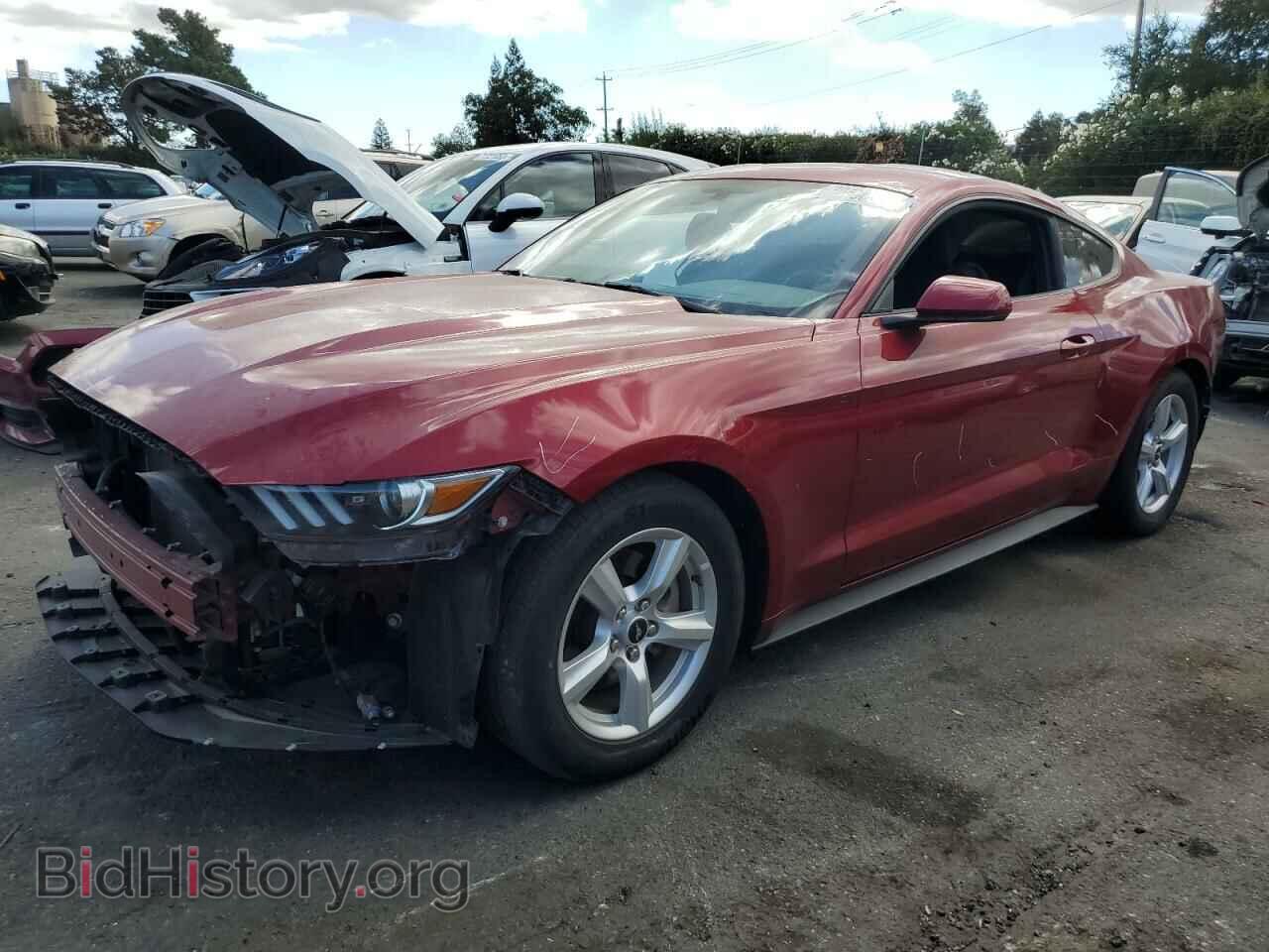 Фотография 1FA6P8AM1H5227207 - FORD ALL Models 2017