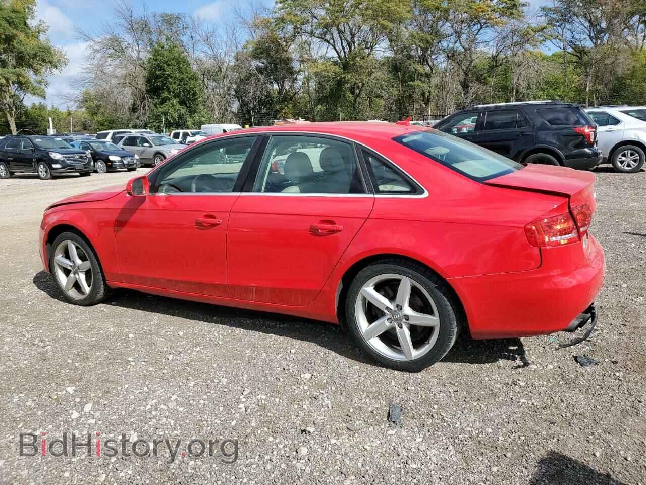 2010 AUDI A4 - VIN: WAUFFAFL0AN053184 - Фото 2