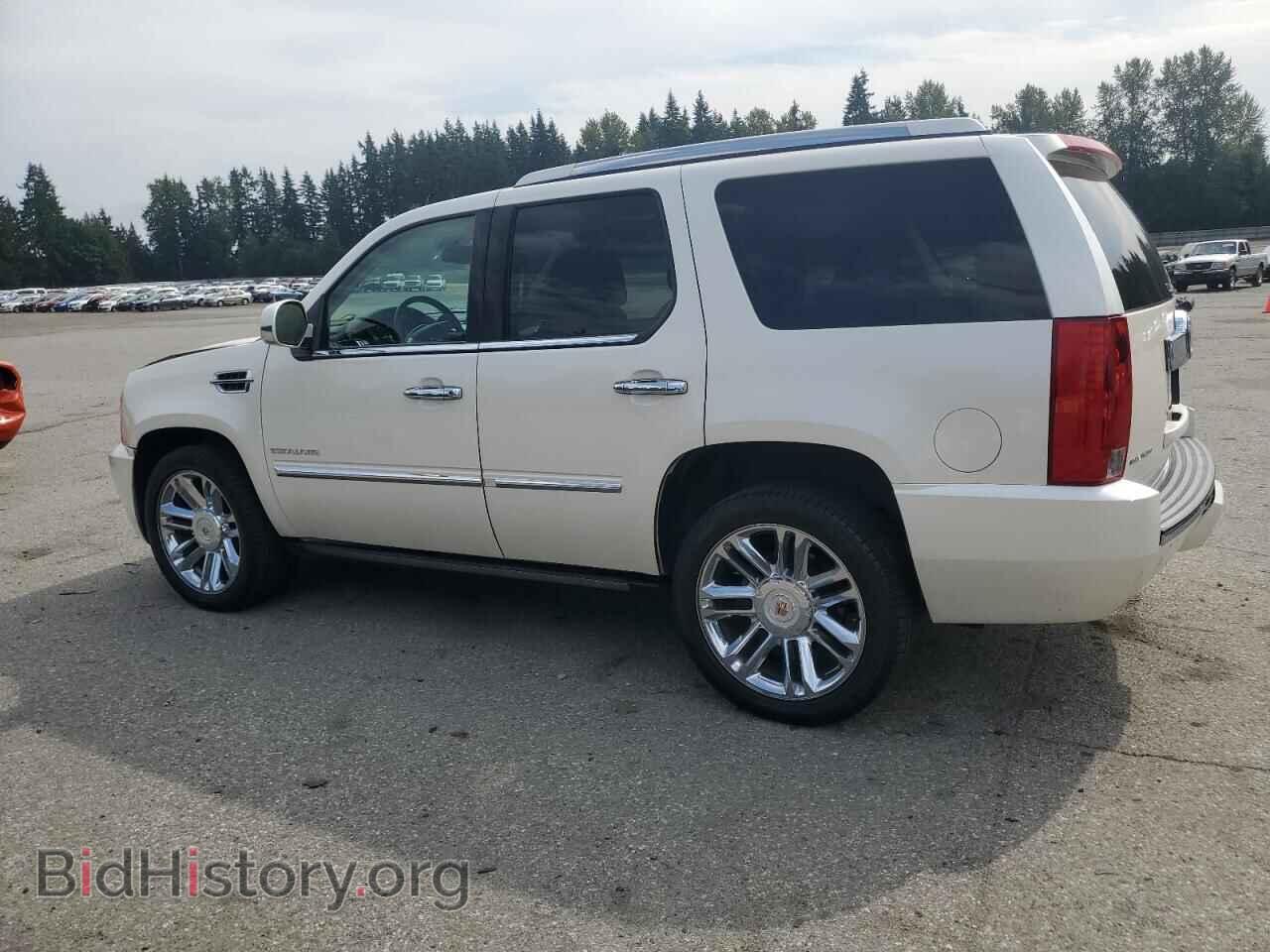 2013 CADILLAC ESCALADE - VIN: 1GYS3DEF6DR245417 - Фото 2