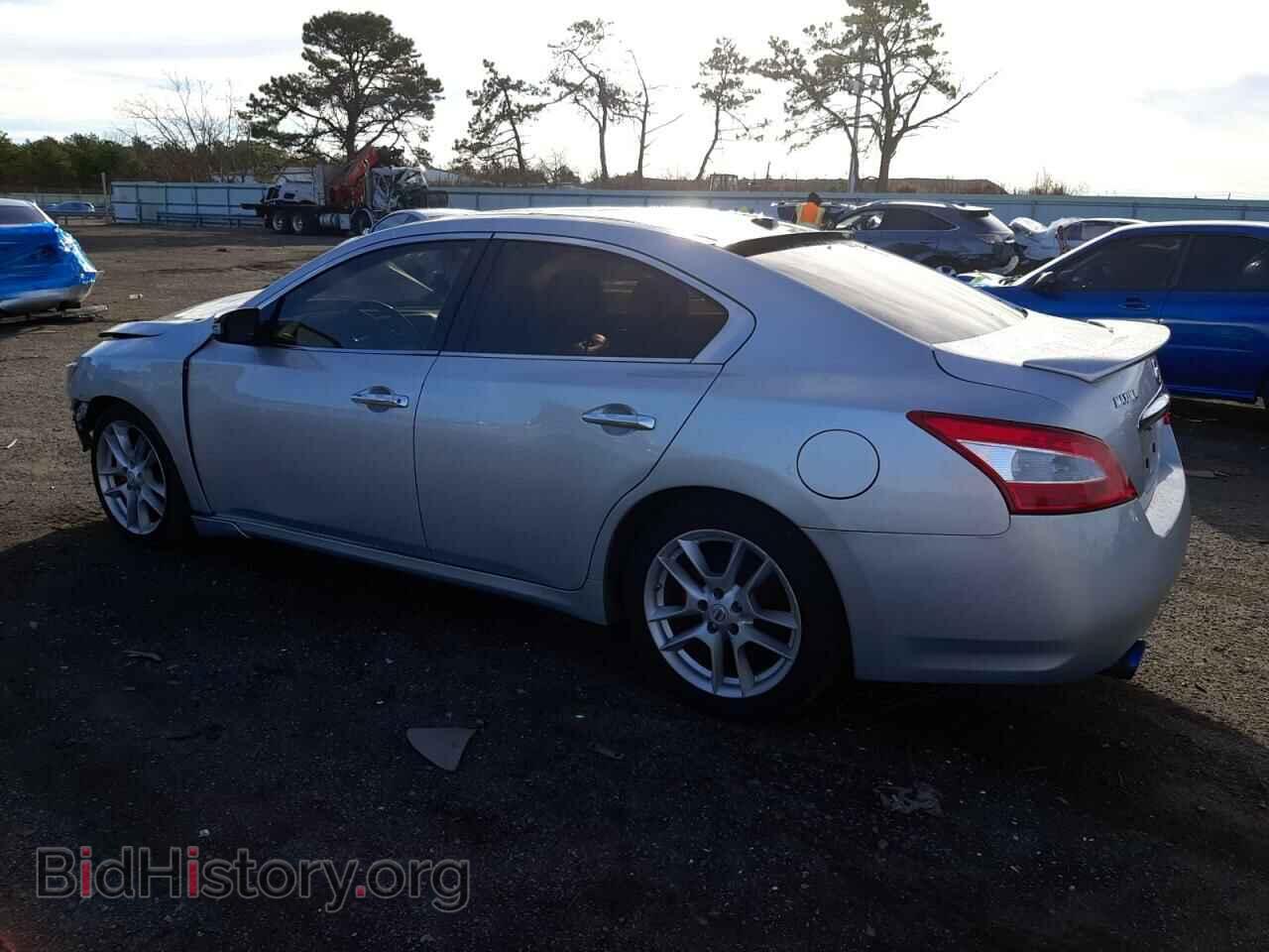 2010 NISSAN MAXIMA - VIN: 1N4AA5AP4AC828231 - Фото 2