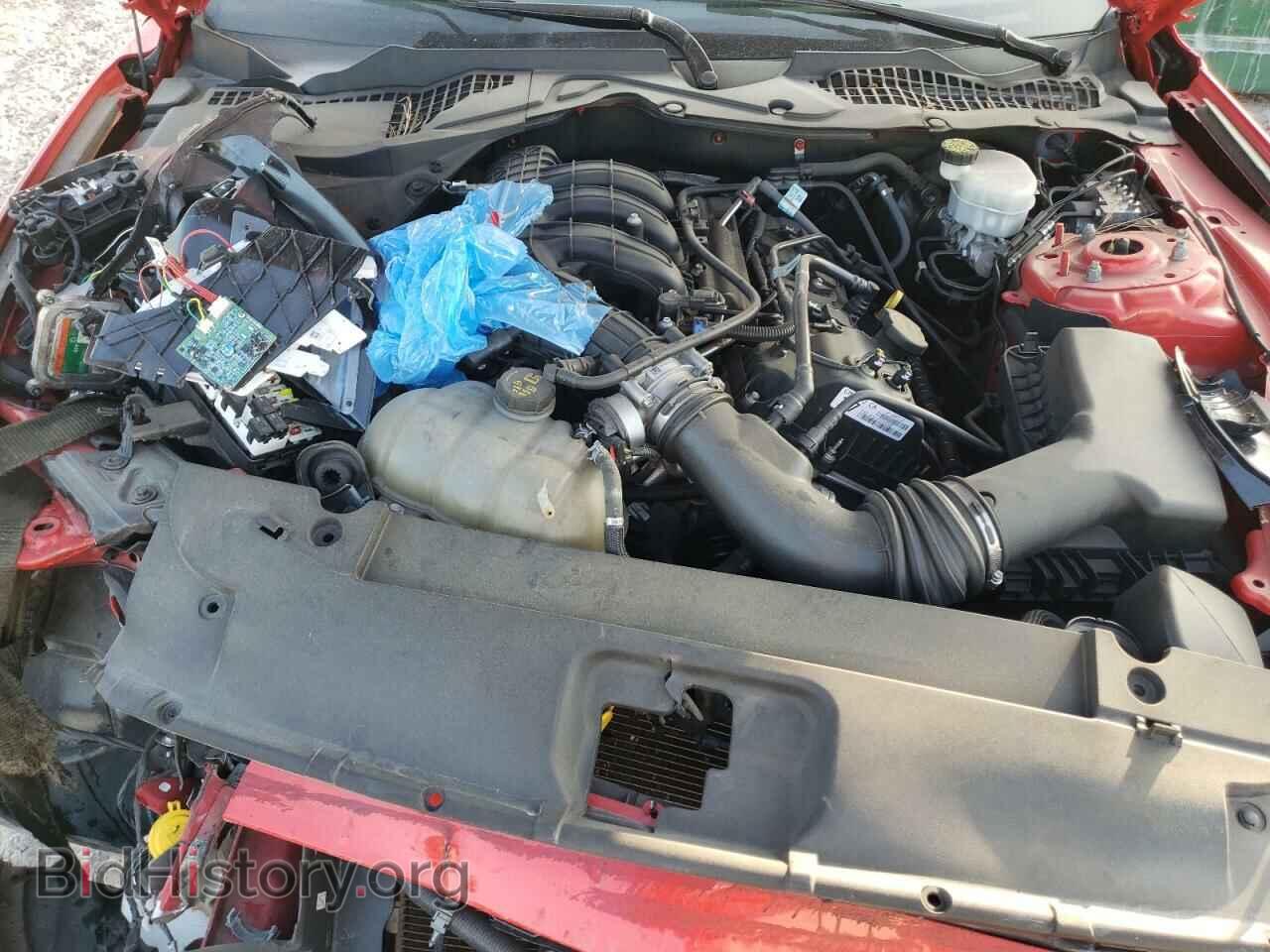 2017 FORD ALL Models - VIN: 1FA6P8AM6H5328520 - Photo 11
