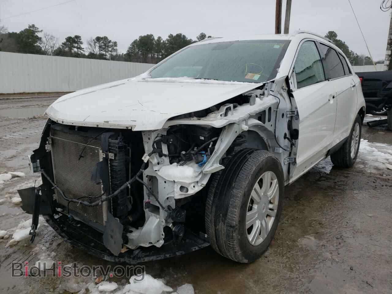 2012 CADILLAC SRX - VIN: 3GYFNAE30CS556580 - Фото 2