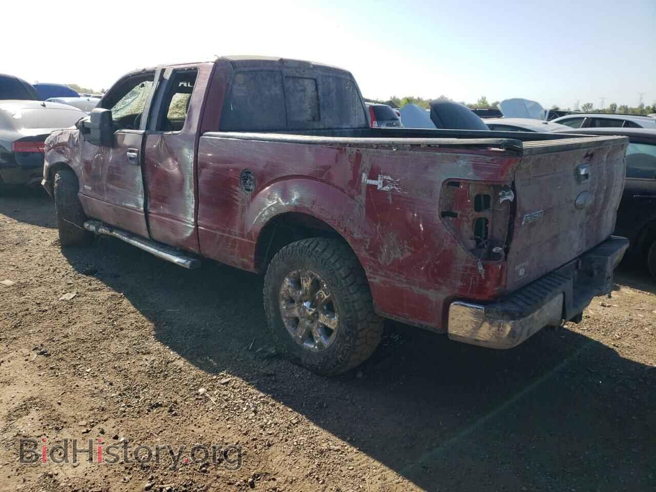 2014 FORD F-150 - VIN: 1FTFX1ET0EFC96382 - Фото 2