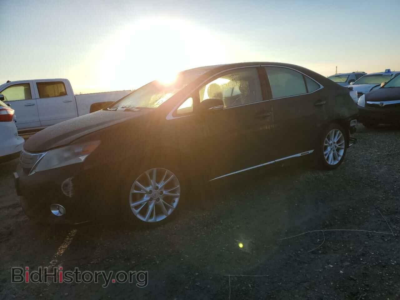 Фотография JTHBB1BA3A2008421 - LEXUS HS 2010