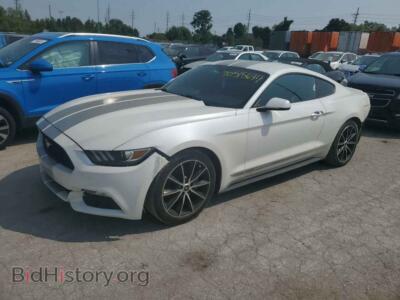 2017 Ford ALL MODELS, белый — VIN 1FA6P8TH4H5226973, Copart