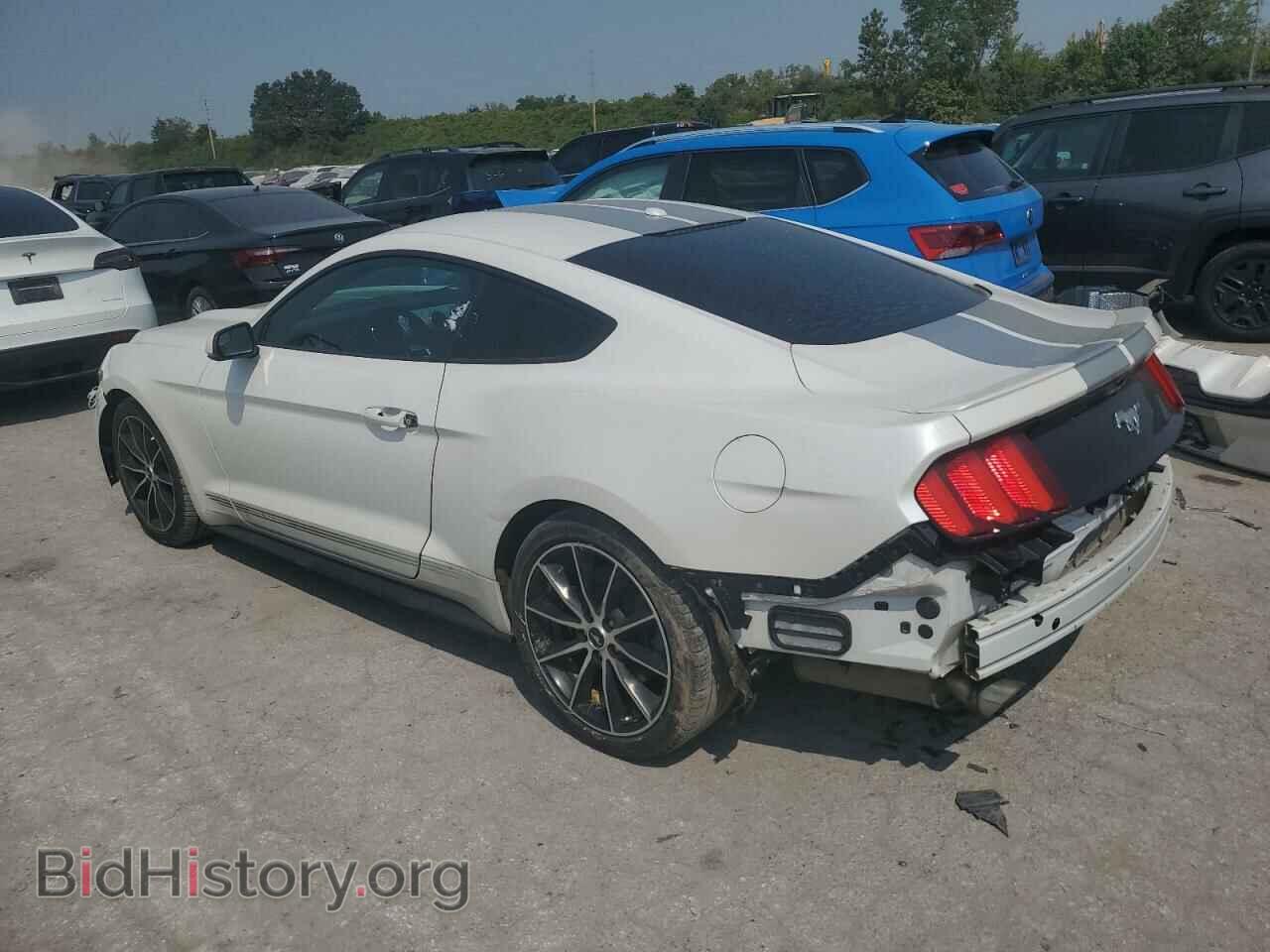 2017 FORD ALL Models - VIN: 1FA6P8TH4H5226973 - Фото 2