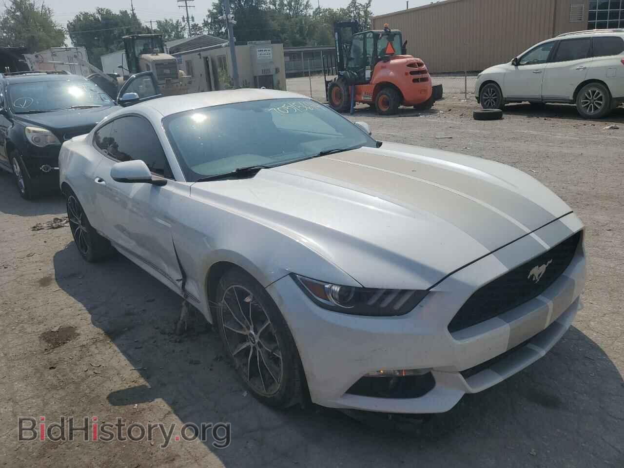 2017 FORD ALL Models - VIN: 1FA6P8TH4H5226973 - Фото 4