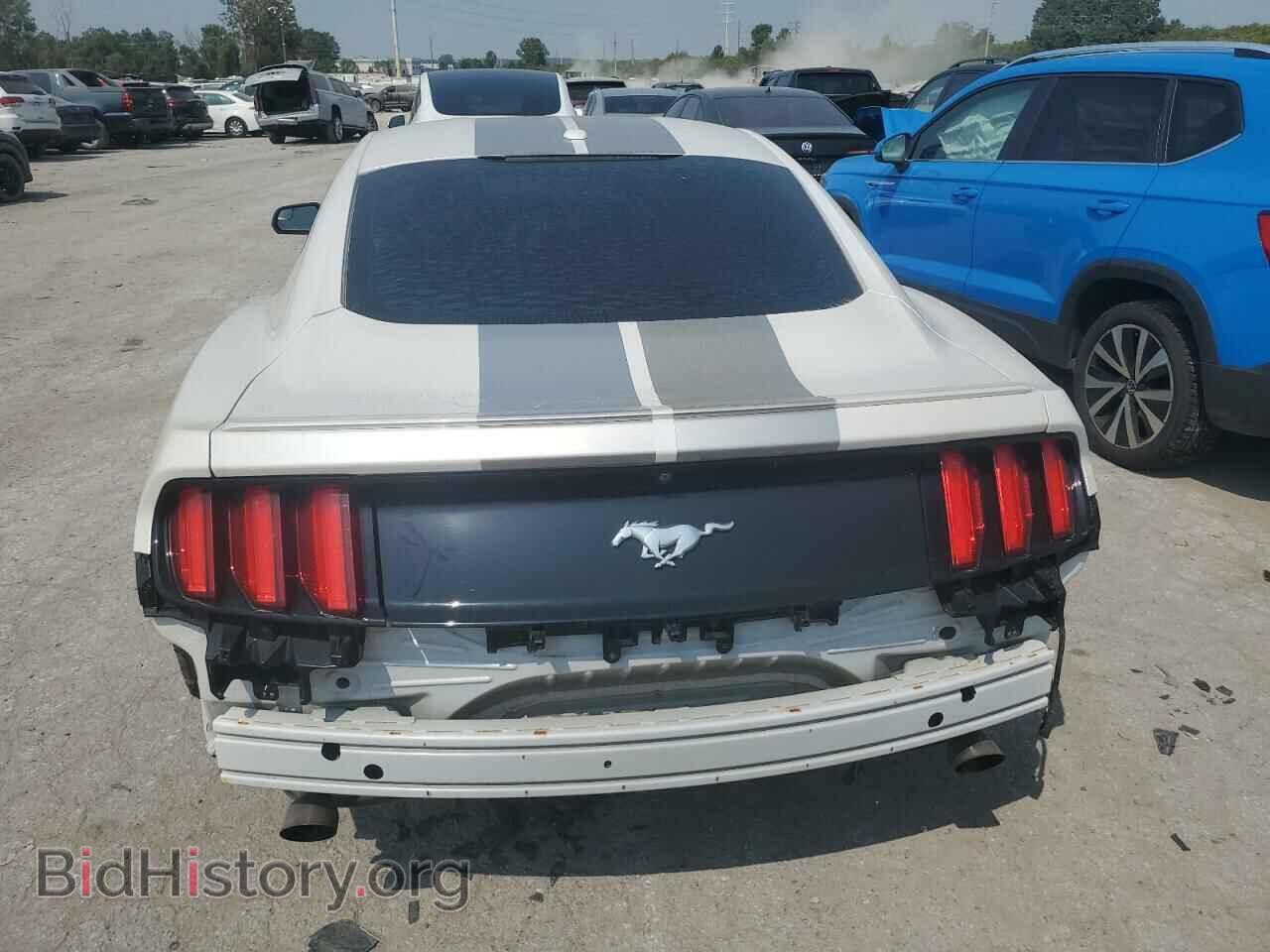 2017 FORD ALL Models - VIN: 1FA6P8TH4H5226973 - Фото 6