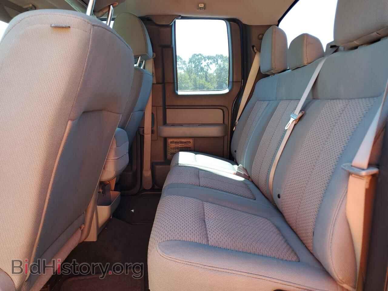 2013 FORD F-150 - VIN: 1FTFX1CFXDFD08145 - Фото 10