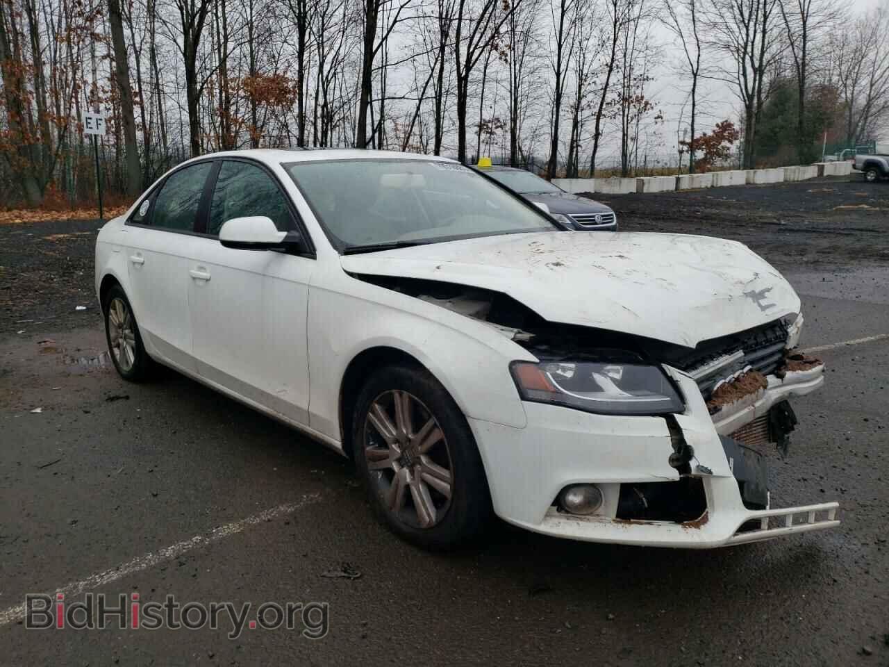 Фотография WAUBFAFL0BN012134 - AUDI A4 2011