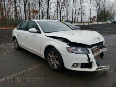 2011 Audi A4 A4 Premium, белый — VIN WAUBFAFL0BN012134, Copart