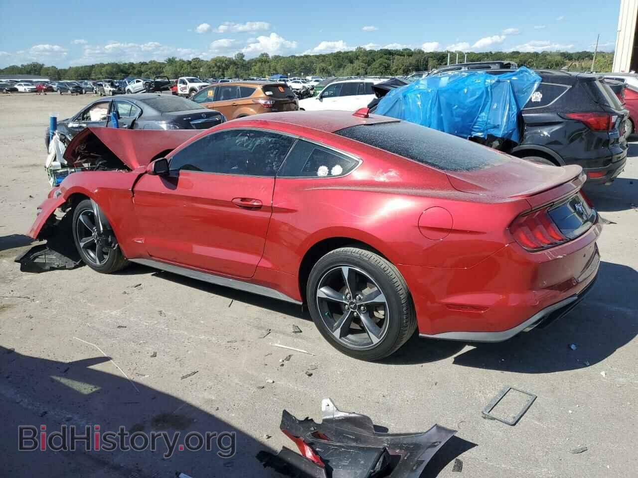 2020 FORD ALL Models - VIN: 1FA6P8TH8L5178905 - Photo 2