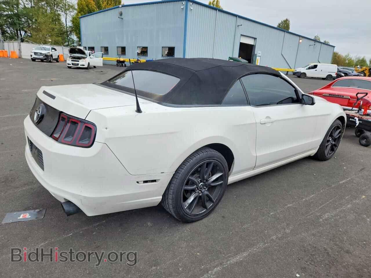 2013 FORD MUSTANG - VIN: 1ZVBP8EM1D5224656 - Photo 3