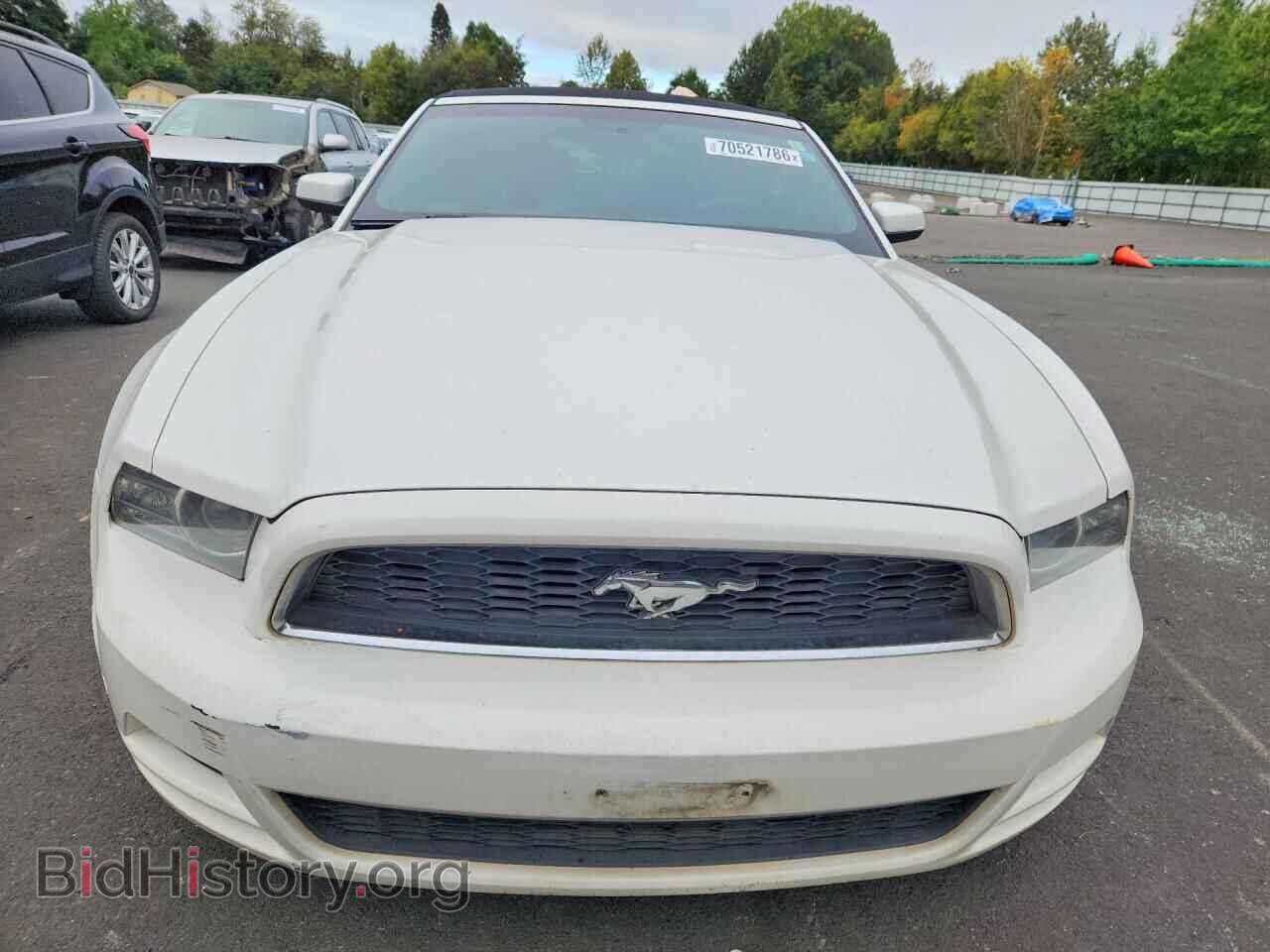 2013 FORD MUSTANG - VIN: 1ZVBP8EM1D5224656 - Photo 5