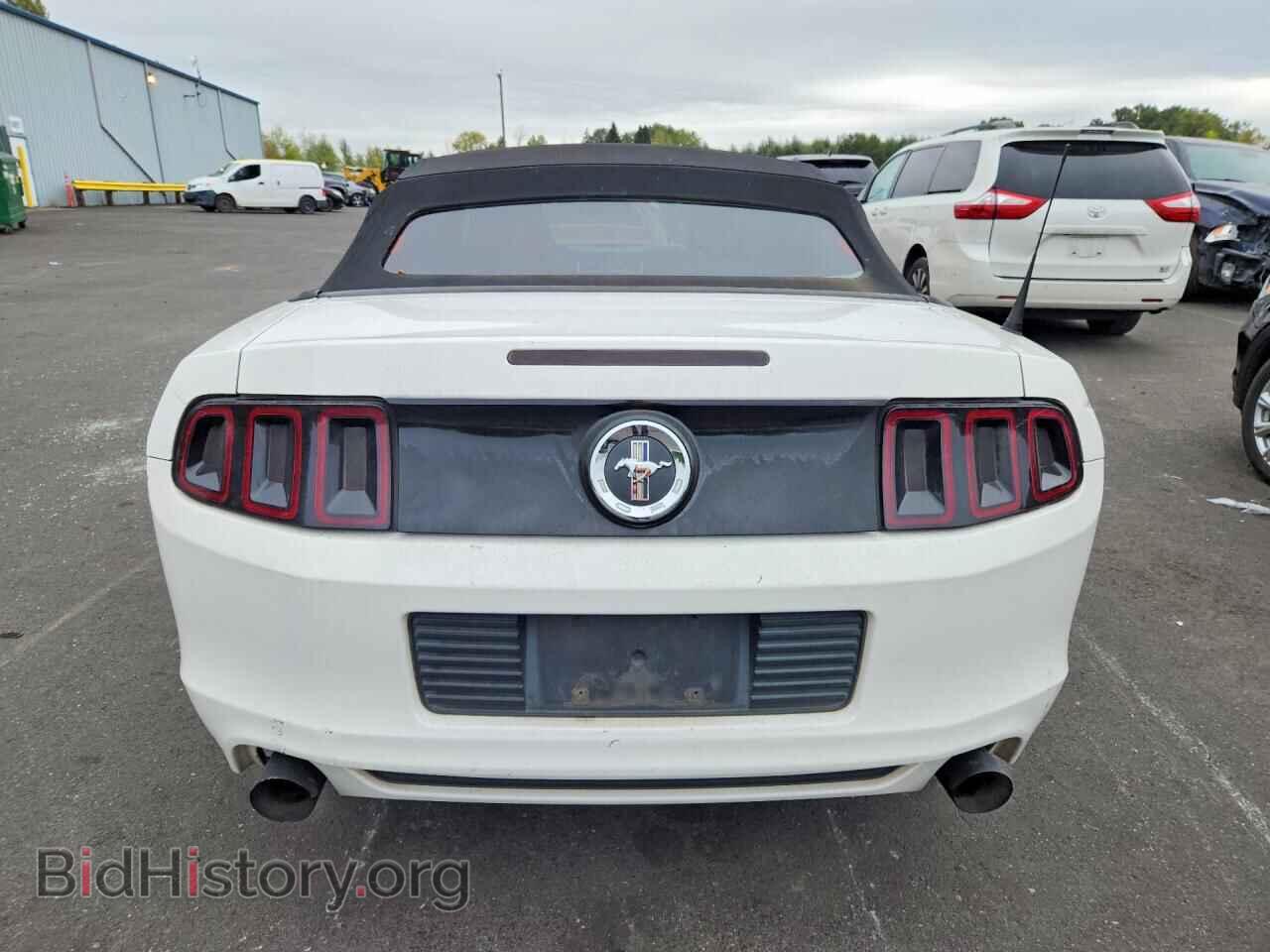 2013 FORD MUSTANG - VIN: 1ZVBP8EM1D5224656 - Photo 6