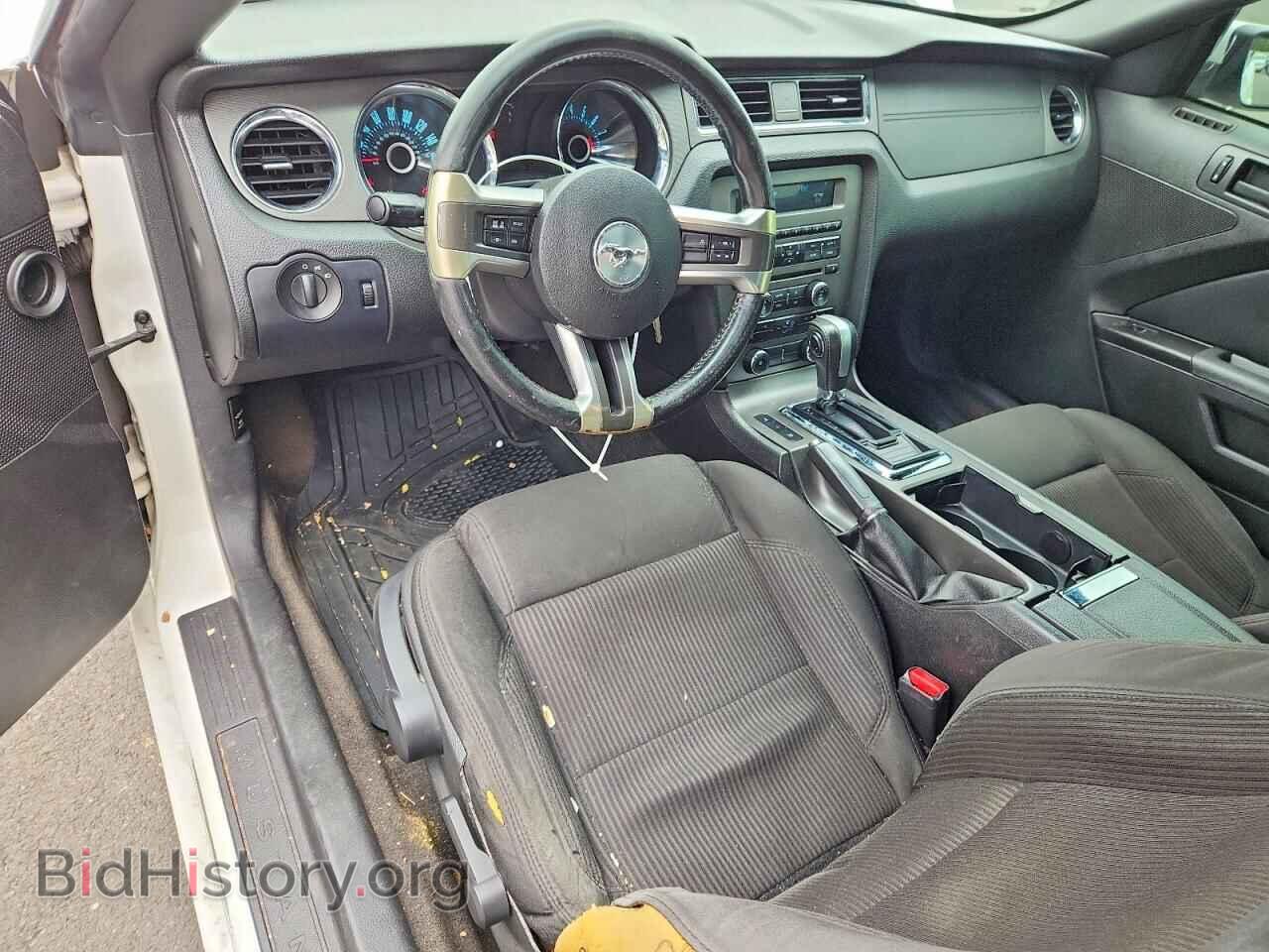 2013 FORD MUSTANG - VIN: 1ZVBP8EM1D5224656 - Photo 8