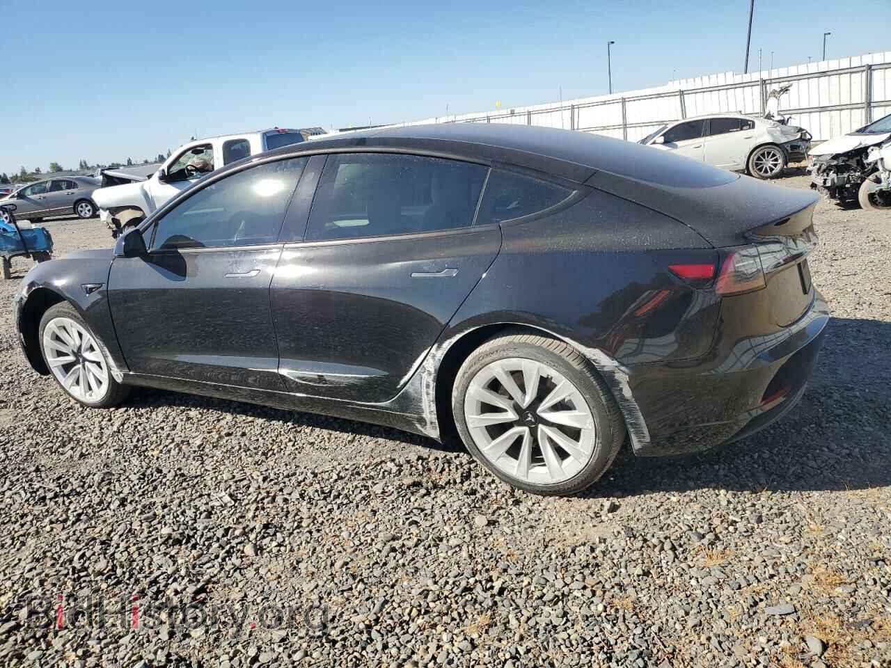 2021 TESLA MODEL 3 - VIN: 5YJ3E1EA5MF048364 - Photo 2