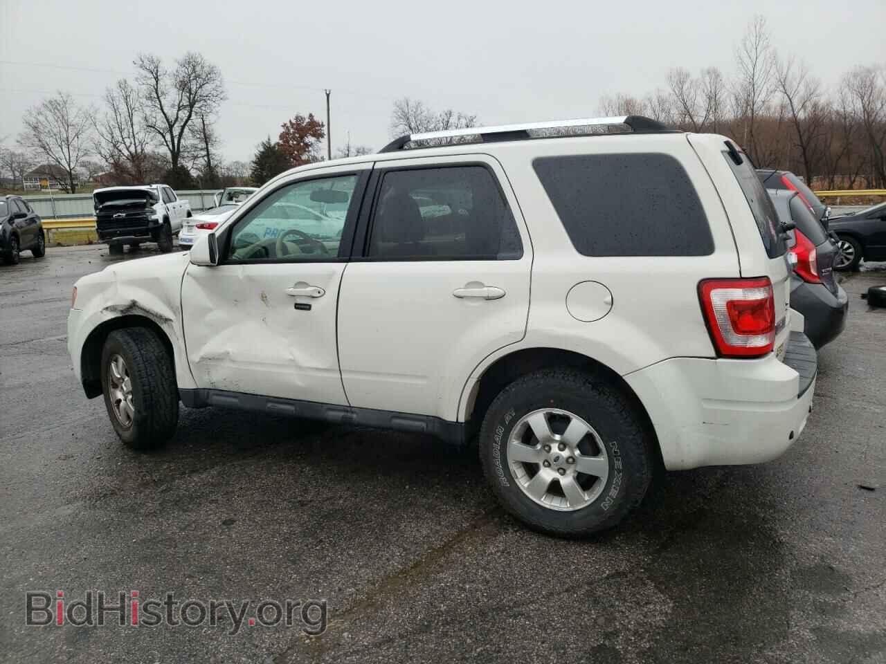 2011 FORD ESCAPE - VIN: 1FMCU0EG7BKC70532 - Photo 2