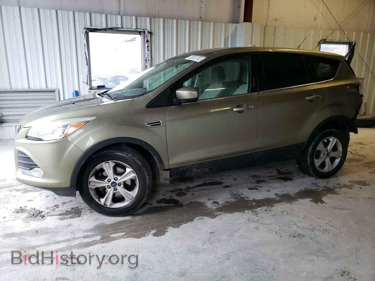 Фотография 1FMCU0GX3EUB33223 - FORD ESCAPE 2014
