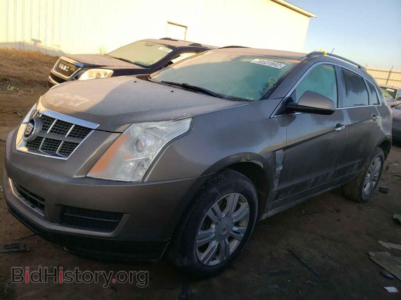 Фотография 3GYFNGE38CS617273 - CADILLAC SRX 2012