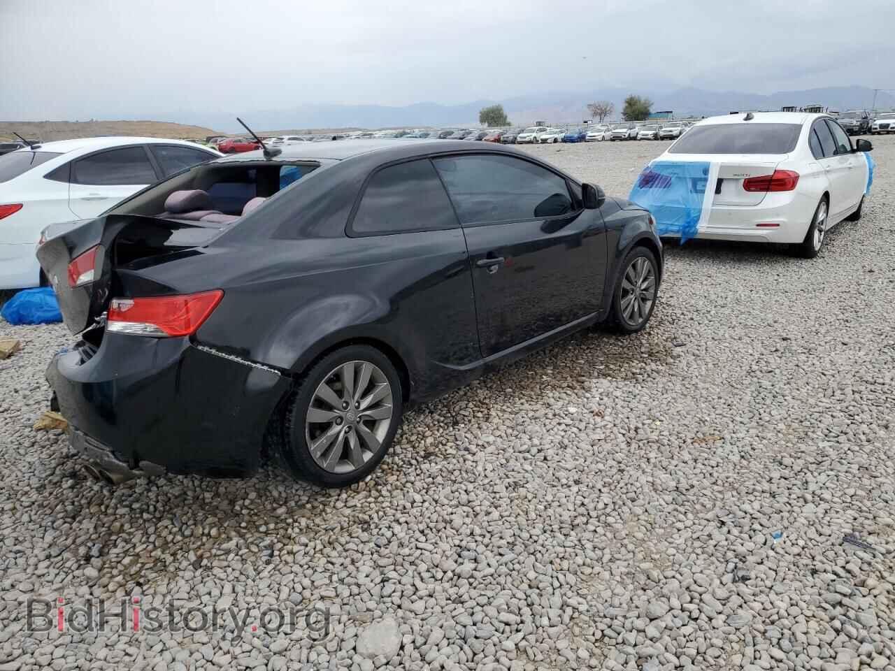 2013 KIA FORTE - VIN: KNAFW6A39D5664632 - Фото 3