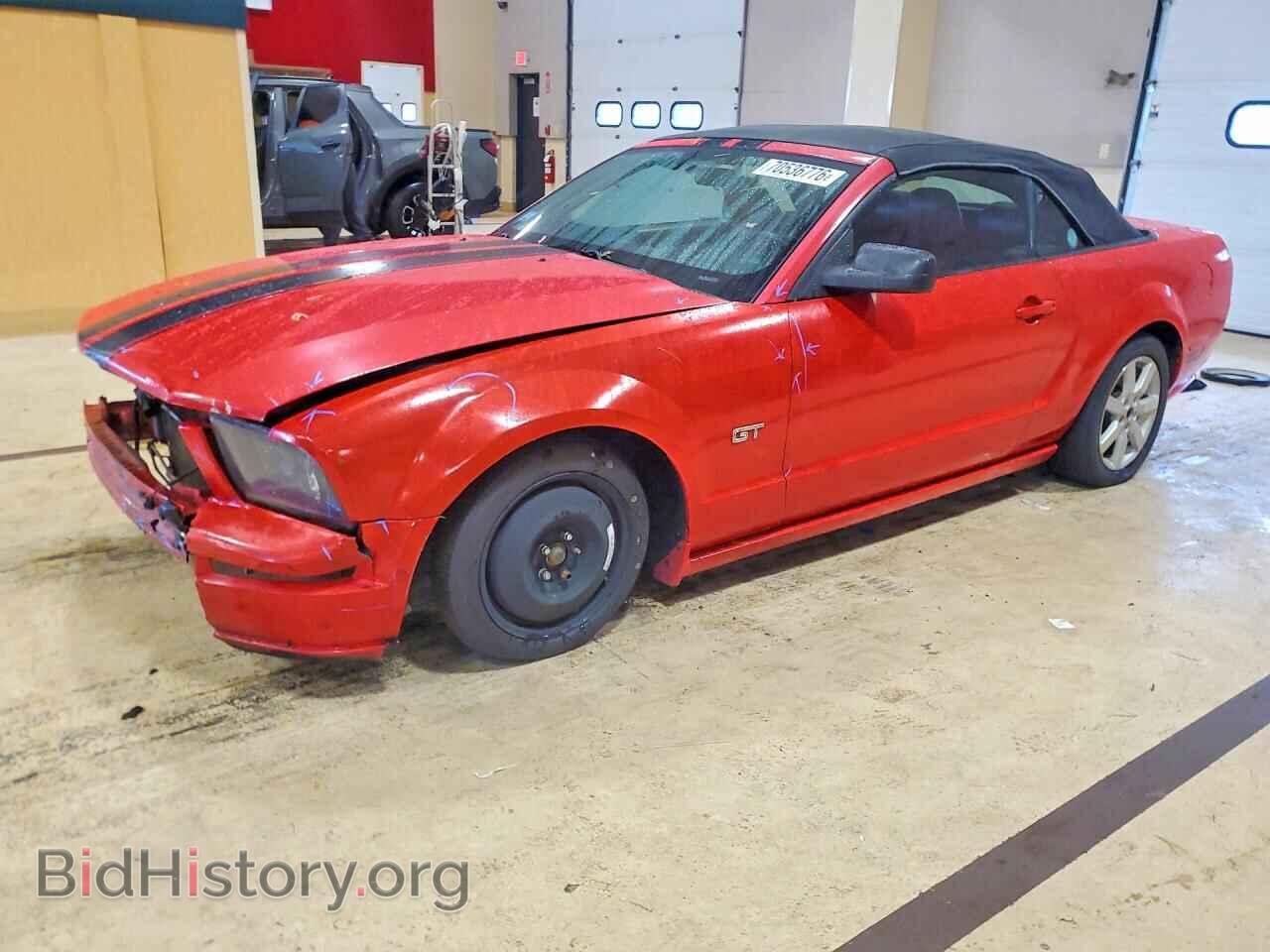 Фотография 1ZVHT85H855245644 - FORD MUSTANG 2005
