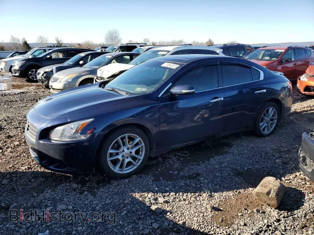 Photo 1N4AA5AP8AC821993 - NISSAN MAXIMA 2010